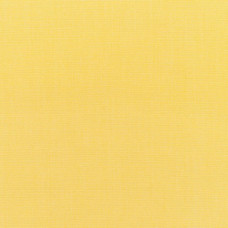 5438 Canvas Buttercup
